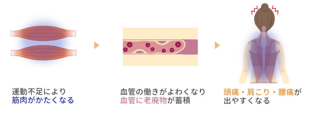 運動不足が引き起こす筋肉のかたさと血流の悪化により頭痛や肩こりが発生するメカニズムを示したイラスト