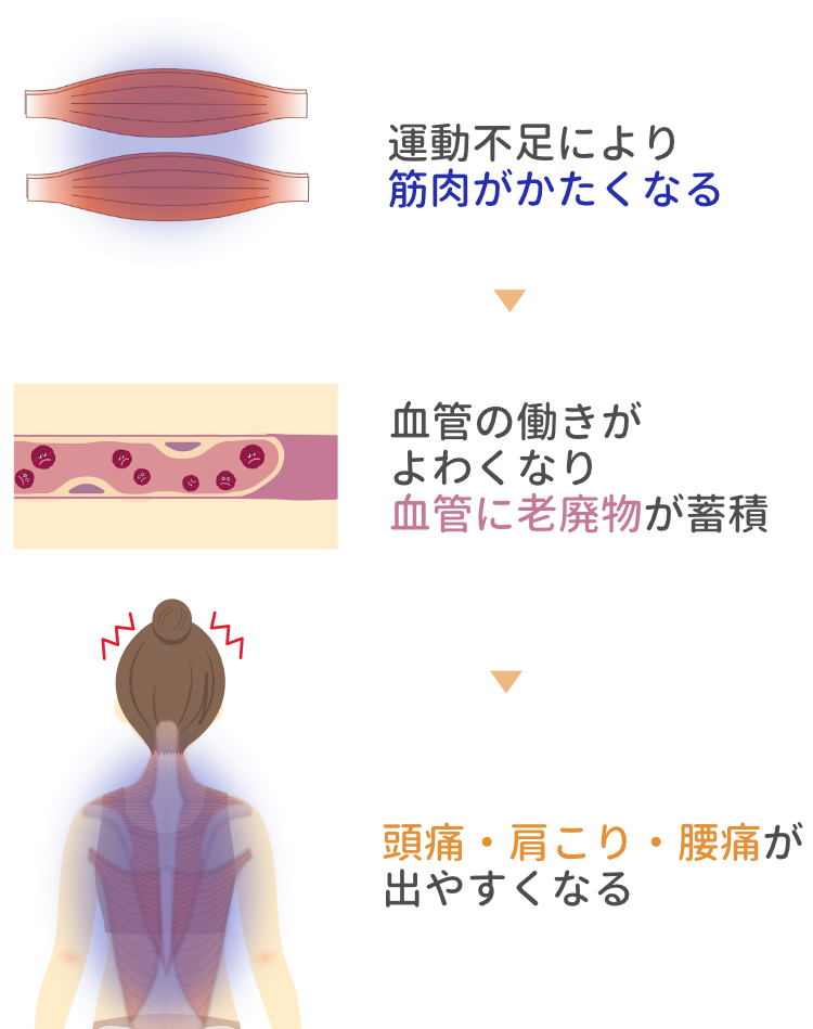 運動不足で筋肉がかたくなり血管の働きが低下して頭痛や肩こりが起きる仕組みを説明する図
